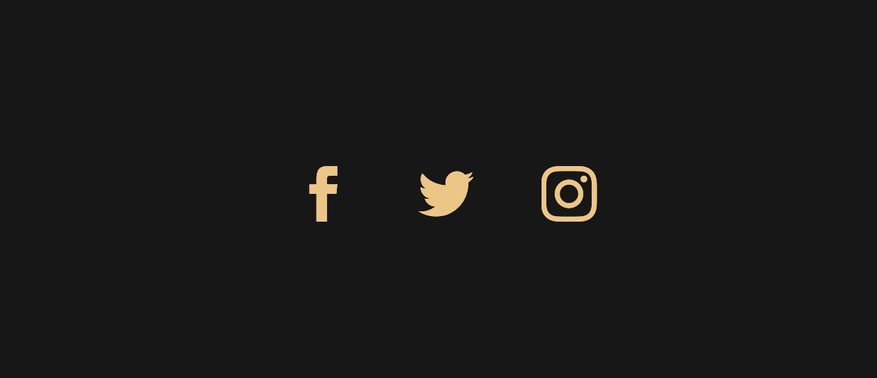 official instagram icon for website